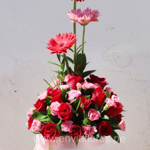"Oferta Especial: Elegancia box con Descuento"