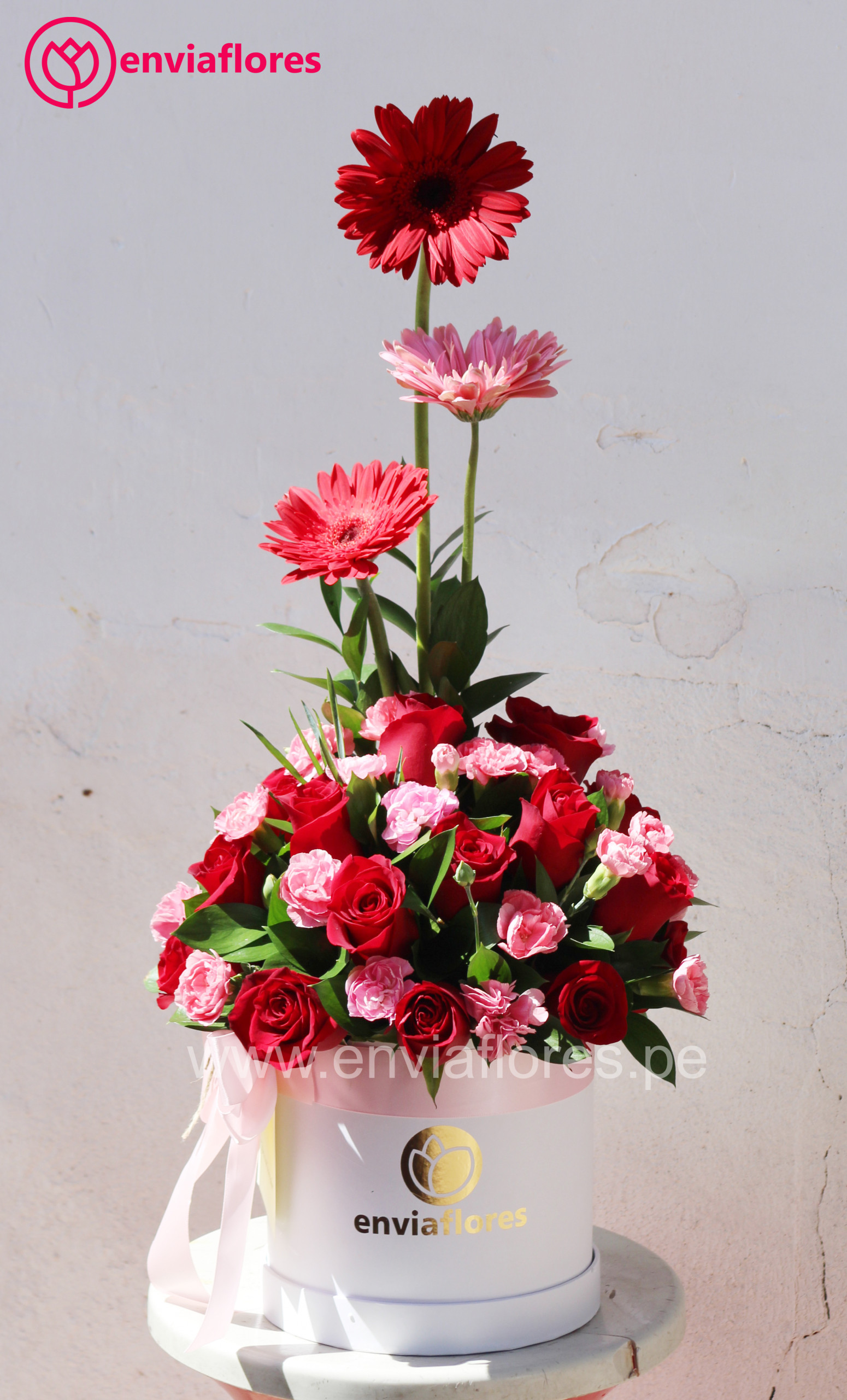 "Oferta Especial: Elegancia box con Descuento"