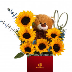 girasoles