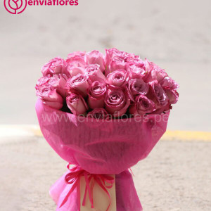 rosas lilas
