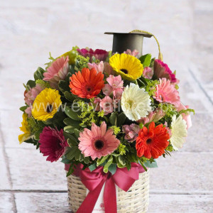 box con 24 gerberas