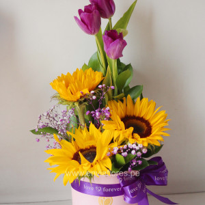 Box de Alegría y Amor: Tulipanes