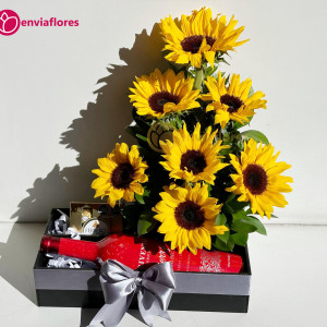 GIRASOLES ROJAS