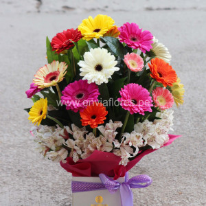 20 gerberas primaverales