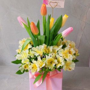 Box de Tulipanes y Astromelias con Lazo y Tarjeta – Envío de Flores en Cusco