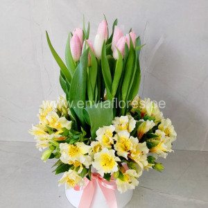 box de 10 tulipanes con astromelias