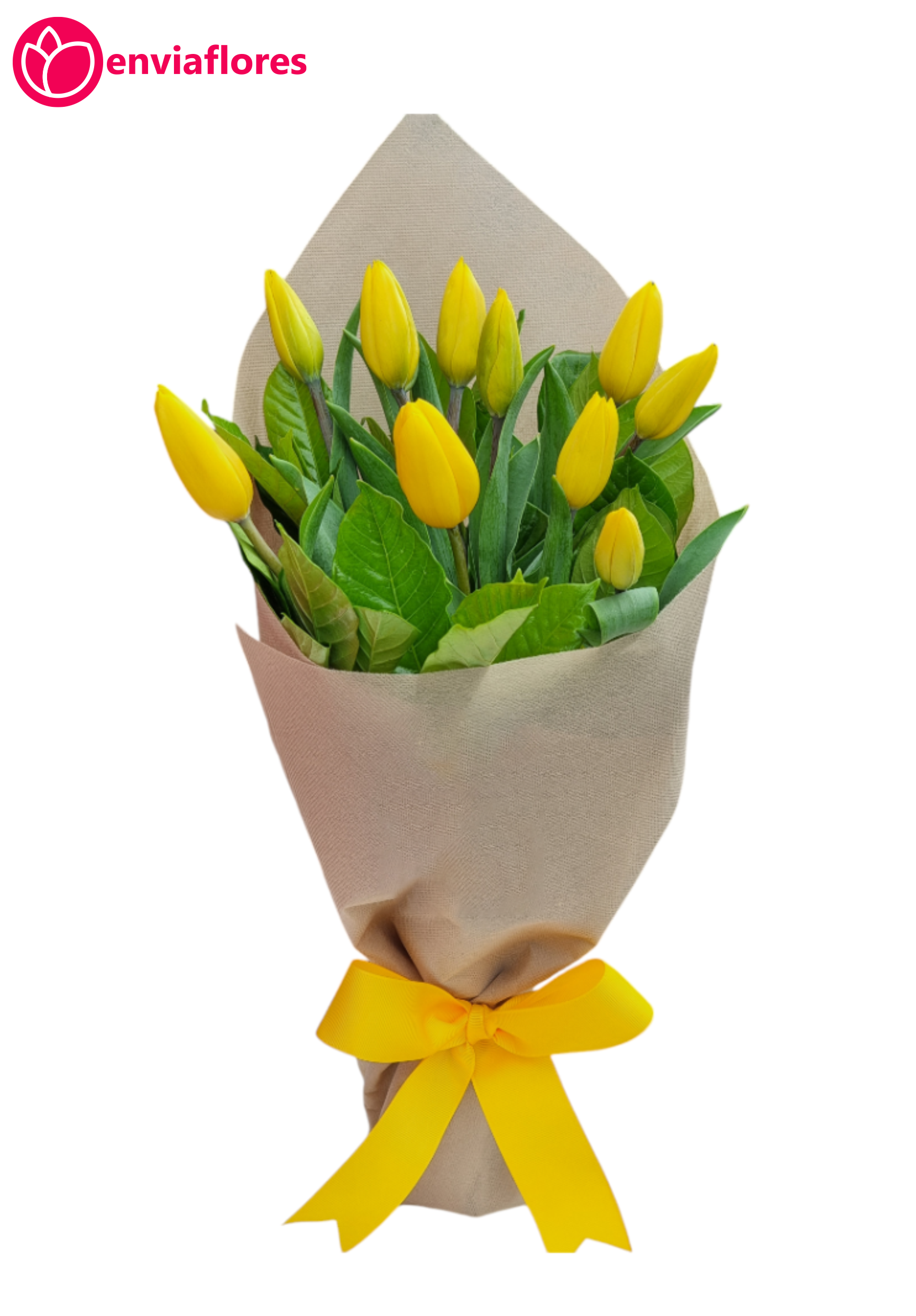 ramo de 10 tulipanes