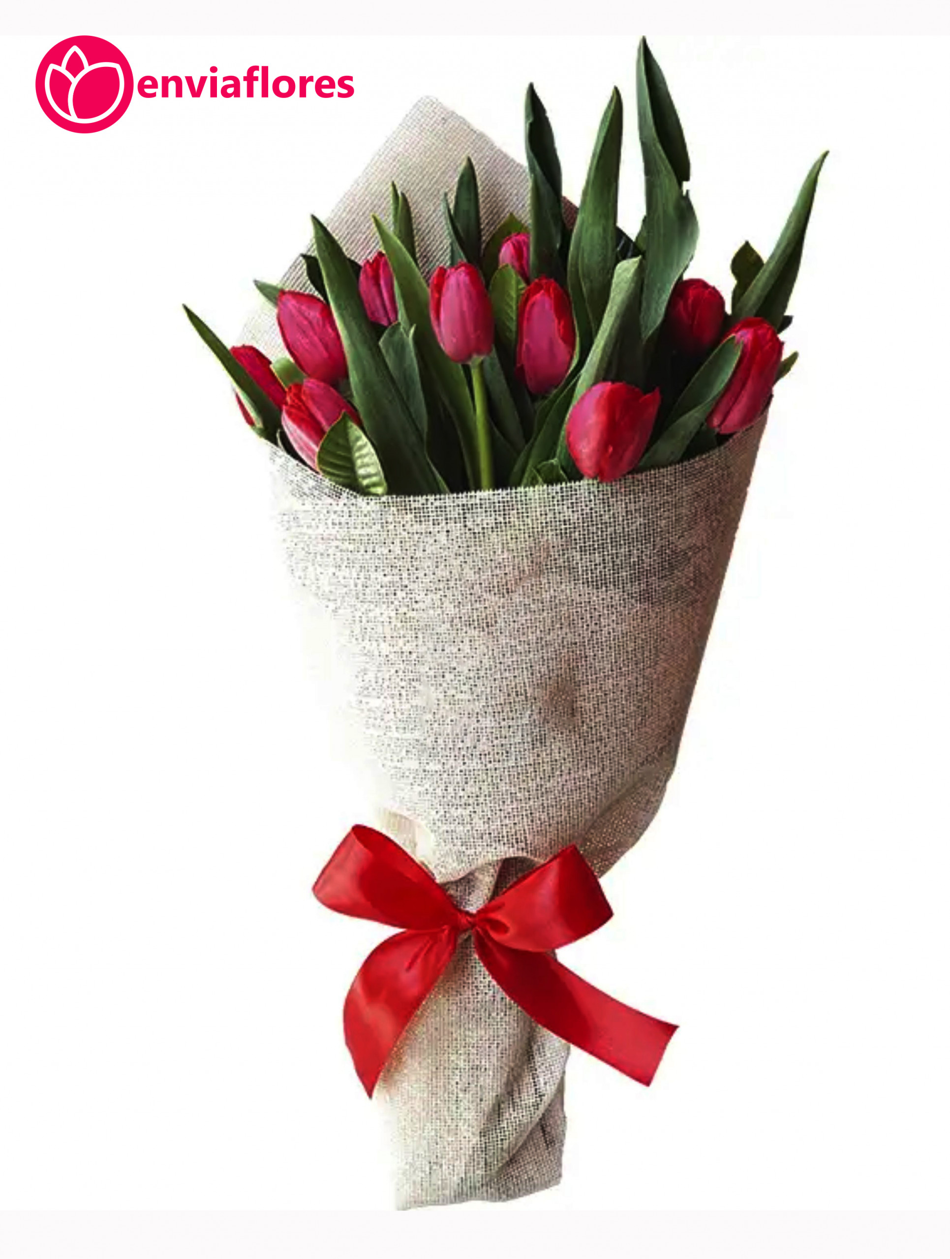 ramo de 10 tulipanes rojos
