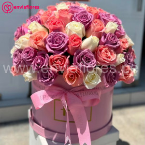 box de 50 rosas
